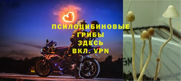 стаф Алексеевка