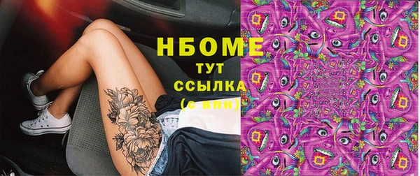 прущие грибы Алзамай