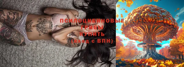 стаф Алексеевка