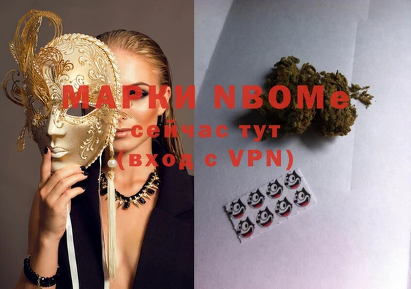 прущие грибы Алзамай