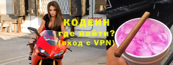 прущие грибы Алзамай
