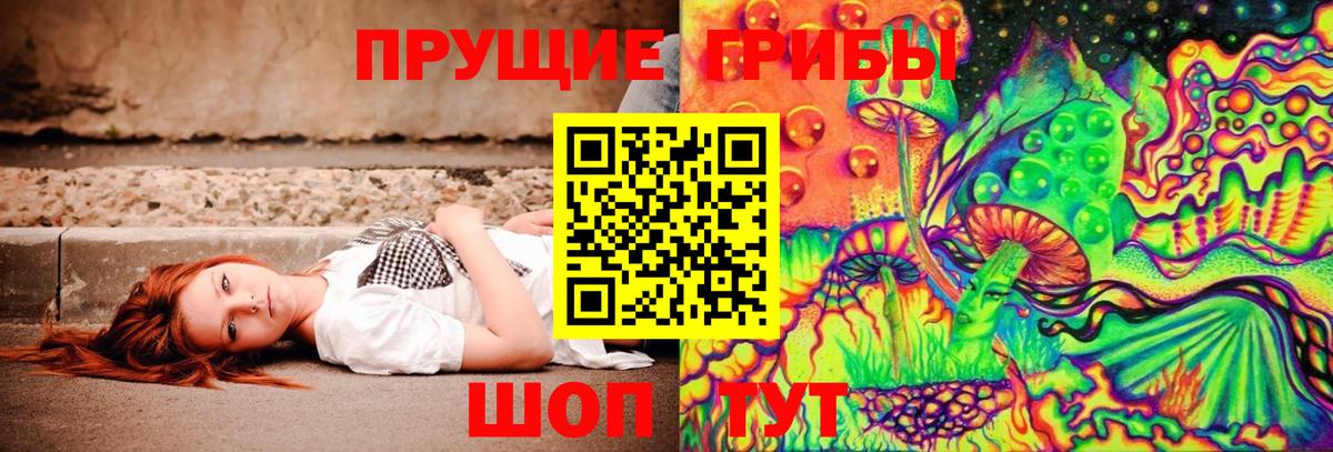 Гусь-Хрустальный  Галлюциногенные грибы GOLDEN TEACHER  Вход с VPN 